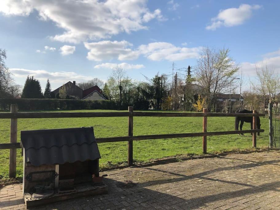 Cadier en Keer Charming Authentic Renovated Farmヴィラ エクステリア 写真